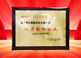 喜讯丨Koipay Koi数据获评2024~2025年度武汉市软件行业&ldquo;优秀企业&rdquo;、&ldquo;优秀工作者&rdquo;荣誉称号！